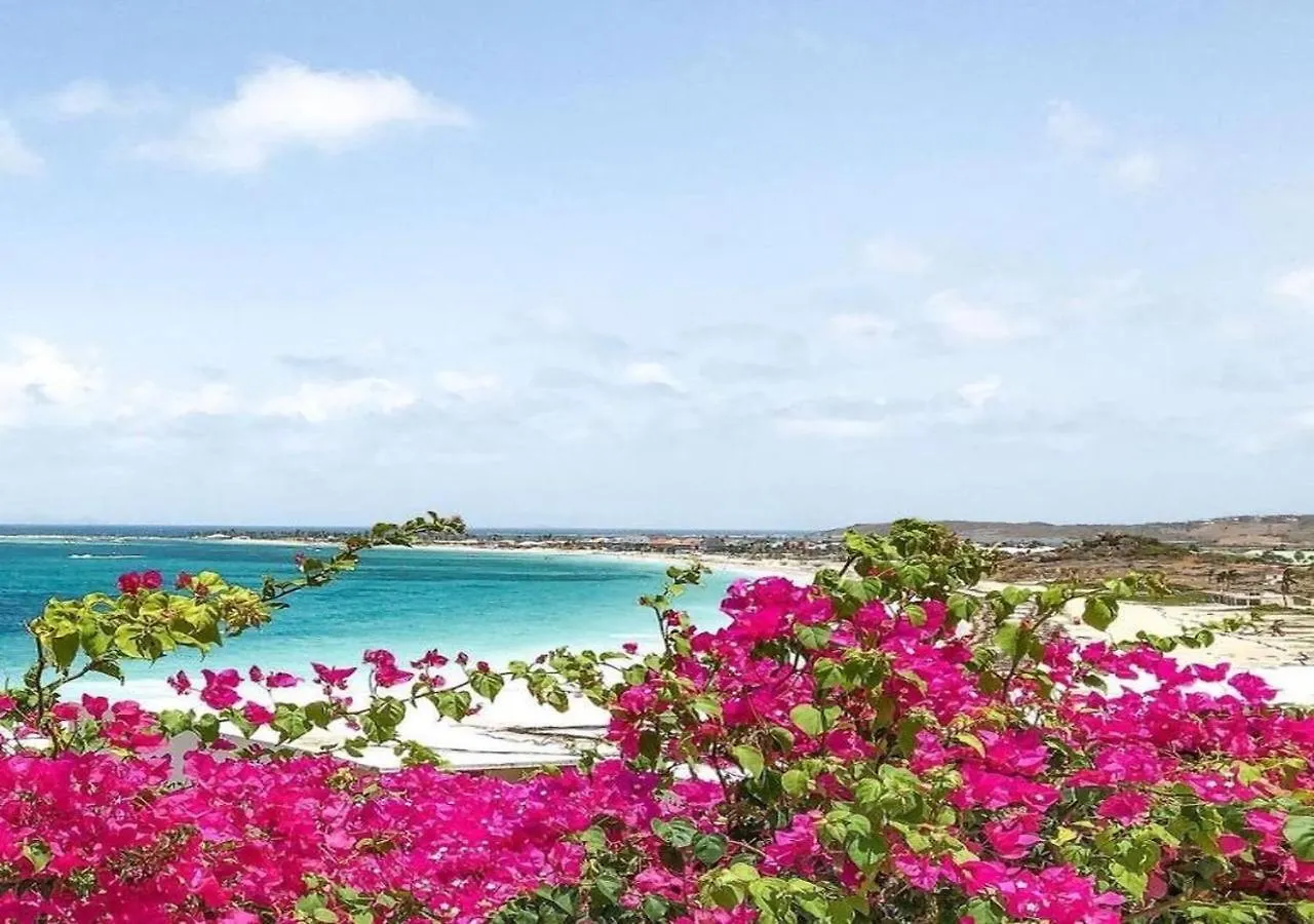 Shamrock Orient Bay Appartement Cul de Sac Sint Maarten